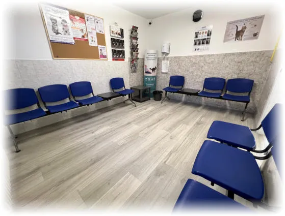 Fotografie kliniky Veterinární ordinace MVDr. Jiří Bárta a kolektiv - Ordinace Sadová 3