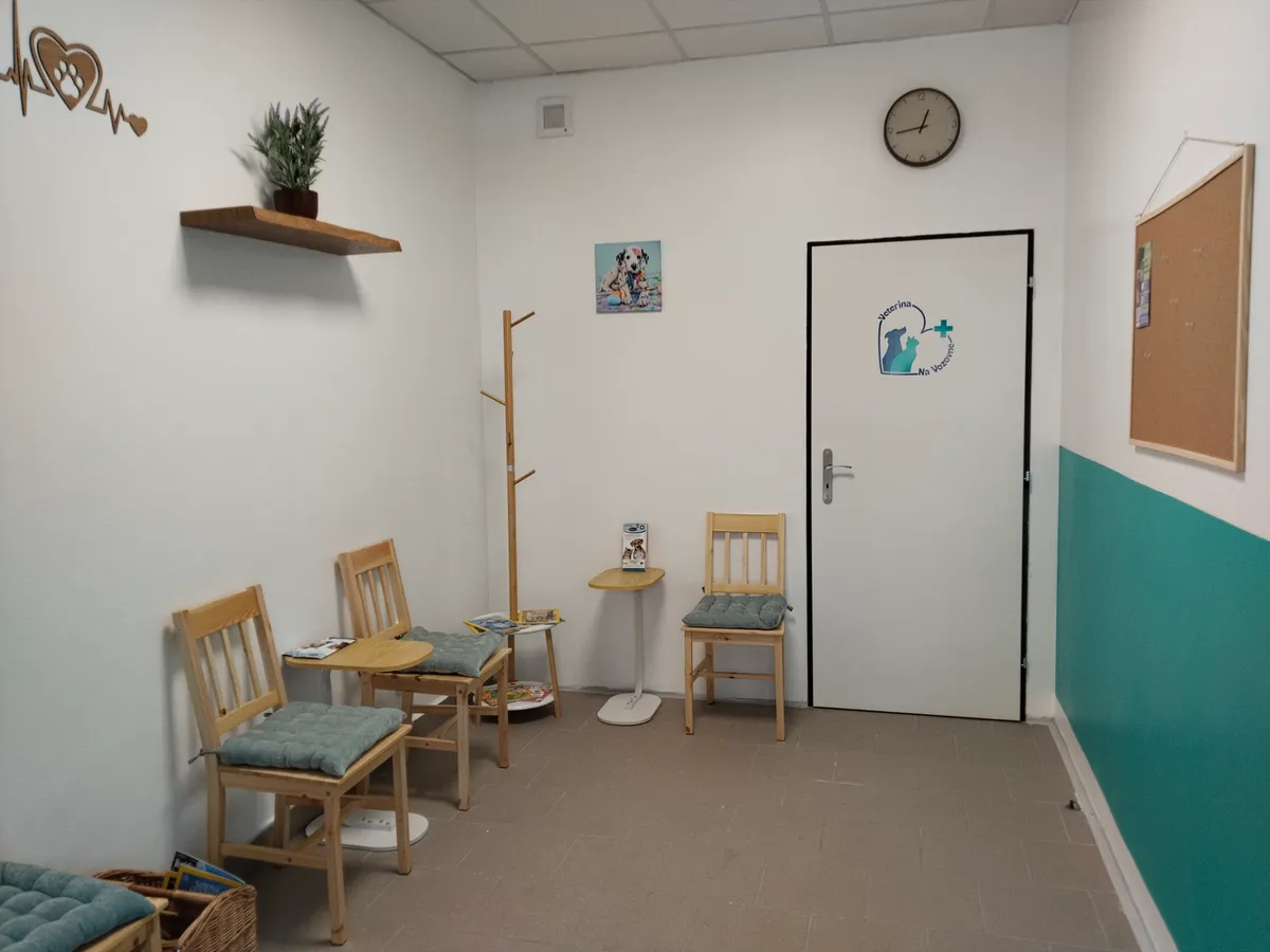 Fotografie kliniky Veterina Na Vozovně 2