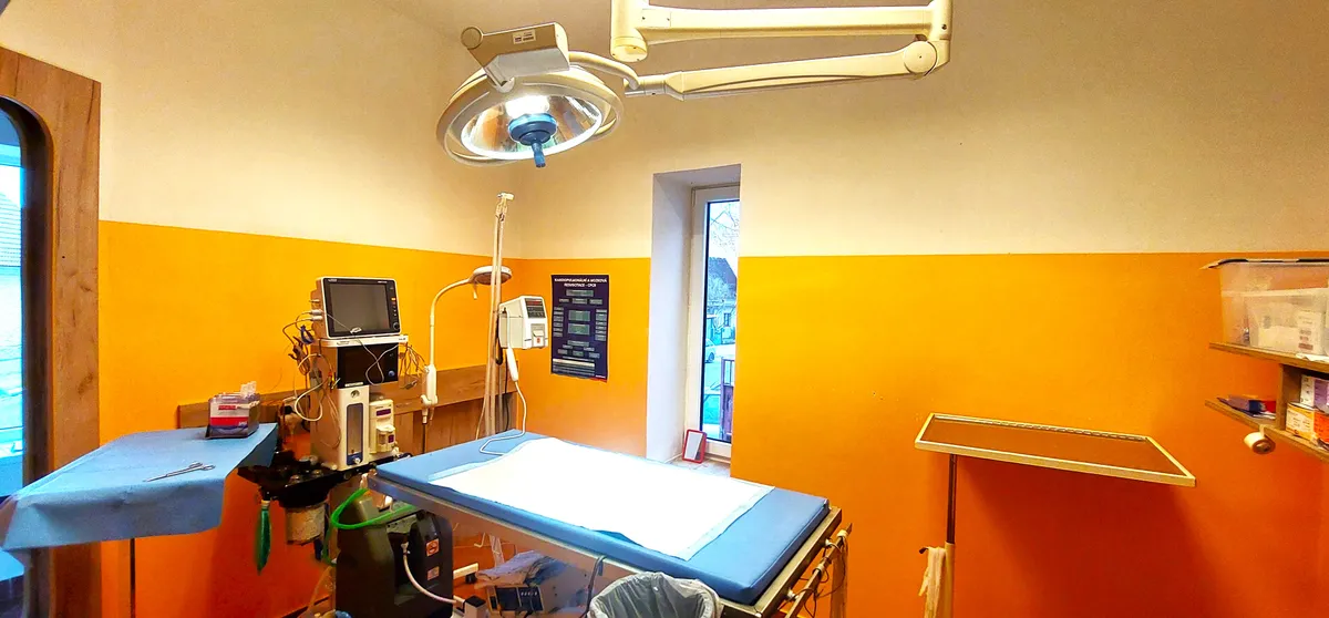 Fotografie kliniky Veterinární ordinace SilviaVet s.r.o. 3